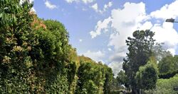 Victoria Park Close (D10), Detached #452845721